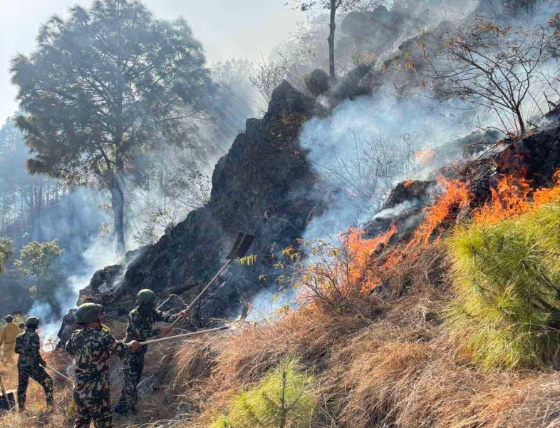 पाल्पाका चार सामुदायिक वनमा डढेलो