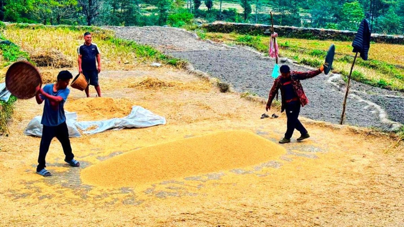 पर्वतमा कृषिजन्य वस्तुको कारोबारबाट ६५ करोडभन्दा बढी रकम भित्रियो