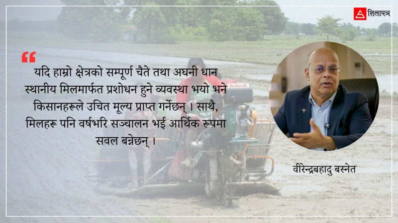 चैते धान कार्यक्रमको सफलता : किसानकेन्द्रित कृषि रूपान्तरणको ‘एंकर इन्टरप्राइज’ आरजु मोडेल