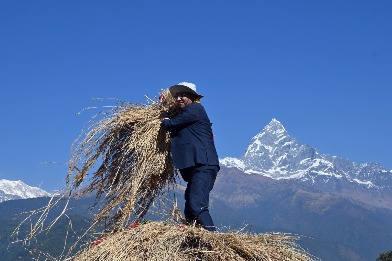 पोखरामा दाइँ महोत्सव (तस्वीरहरू)