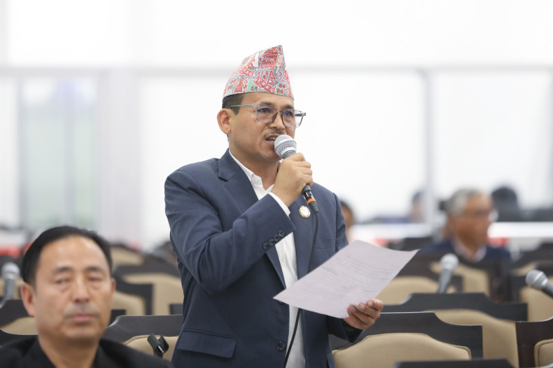 ‘घरमै पासपोर्ट’ भन्ने सरकारलाई सांसद मल्लको व्यंग्य– लाइन नै घरसम्म पुग्यो