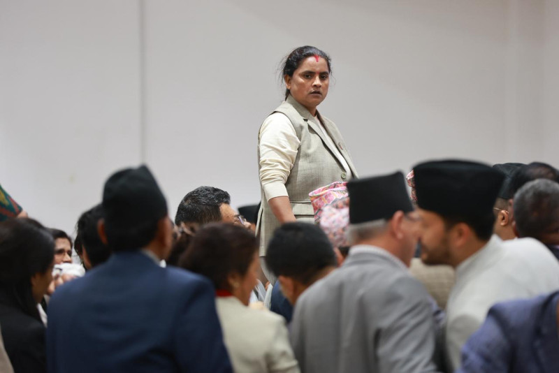 संसदमा आइतबार भएको भिडियोको निगरानी, कारबाहीबारे परामर्शमा जुटे सभामुख