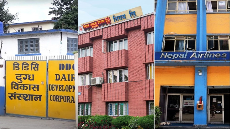 झण्डै ८ खर्ब सरकारी लगानी रहेका ४५ सार्वजनिक संस्थानमध्ये १६ वटा घाटामा, दुईवटा बन्द
