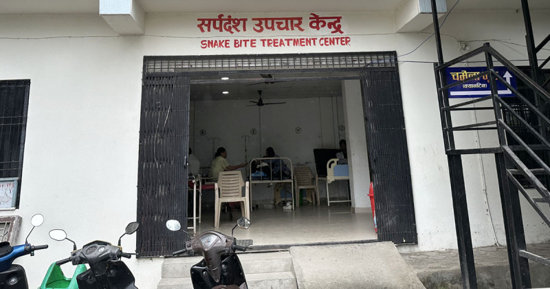 समयमै उपचार नपाउँदा सर्पदंशका बिरामीले गुमाउँदै छन् ज्यान