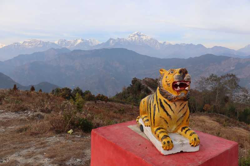 बाघखोरमा बाघको प्रतिमासहितको ‘पार्क’ निर्माण, किन राखियो गाउँको नाम बाघखोर ?