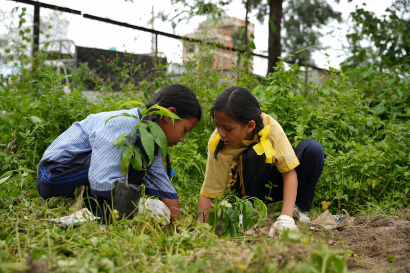 ‘एक बालबालिका, एक बिरुवा’ अभियानमा ८० हजार बालबालिका
