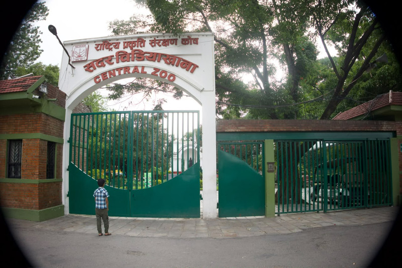 बर्डफ्लुका कारण जावलाखेल चिडियाखानालाई तीन करोड घाटा