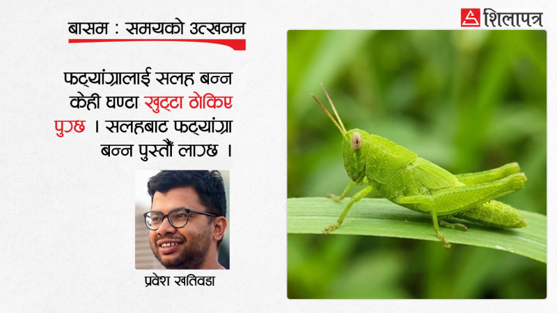 एकान्तका प्रेमी, भिडका दास: एकान्तमा रमाउने फट्याङ्ग्रा सर्वभक्षी सलहको बथान कसरी बन्छ ?