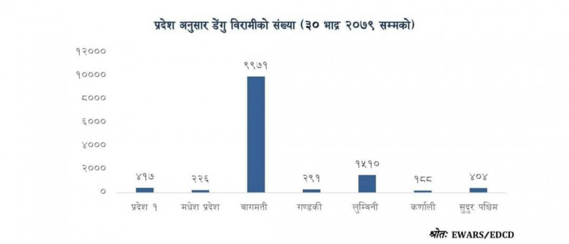 डेंगीबाट १३ जनाको मृत्यु, बिरामीको संख्या १३ हजार नाघ्यो