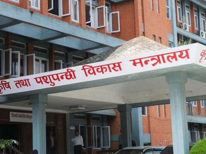 दूध, मासु र अण्डामा आत्मनिर्भरता घोषणामै सीमित, सरकारसँग नै छैन प्रभावकारी योजना