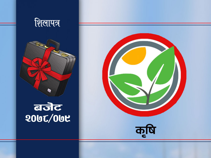बजेटमा बढ्छ मलको अनुदान : किसानका समस्या ज्युँका त्युँ