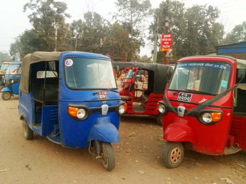 अटो रिक्सा चालक : कोही स्वदेशमै भविष्य खोज्दै, कोही विदेशिने तयारीमा