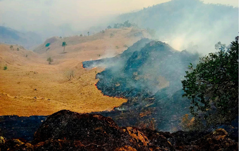 बागलुङमा ३८ वनमा आगलागी: १५ वनको आगो नियन्त्रणबाहिर