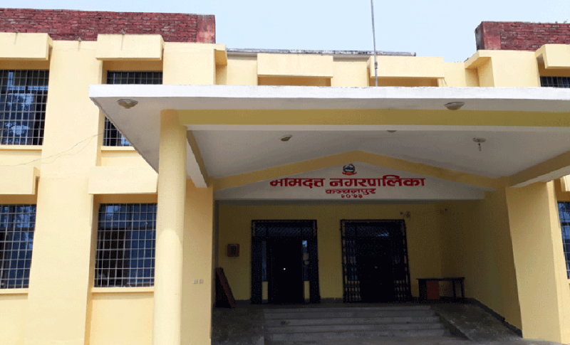छोरीबुहारीलाई उच्च शिक्षामा सघाउँदै भीमदत्त नगरपालिका