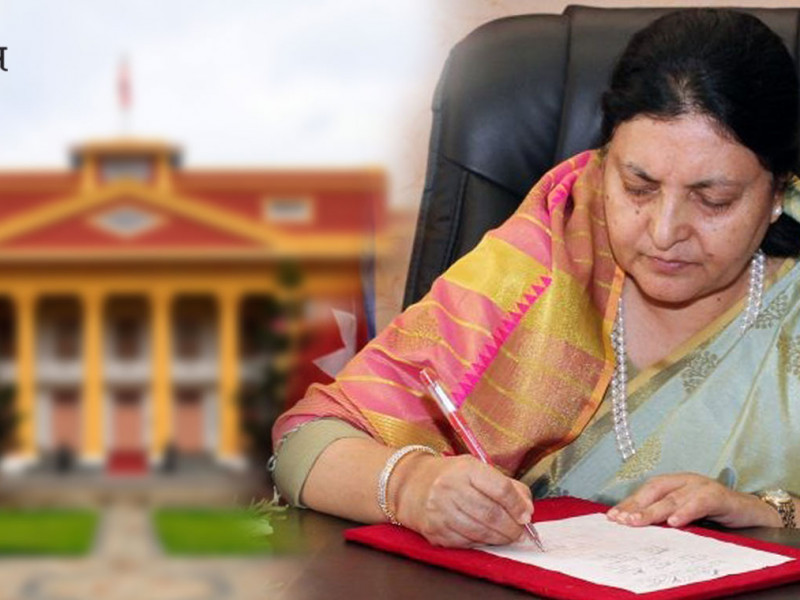 राष्ट्रपति भण्डारीले दिइन् बडादसैँको शुभकामना, राष्ट्रिय एकता थप सुदृढ बन्ने विश्वास