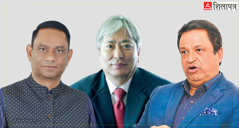 प्रतिनिधिसभामा १३ प्रतिशत व्यवसायी,  अधिकांश प्रत्यक्ष रोजाइबाट