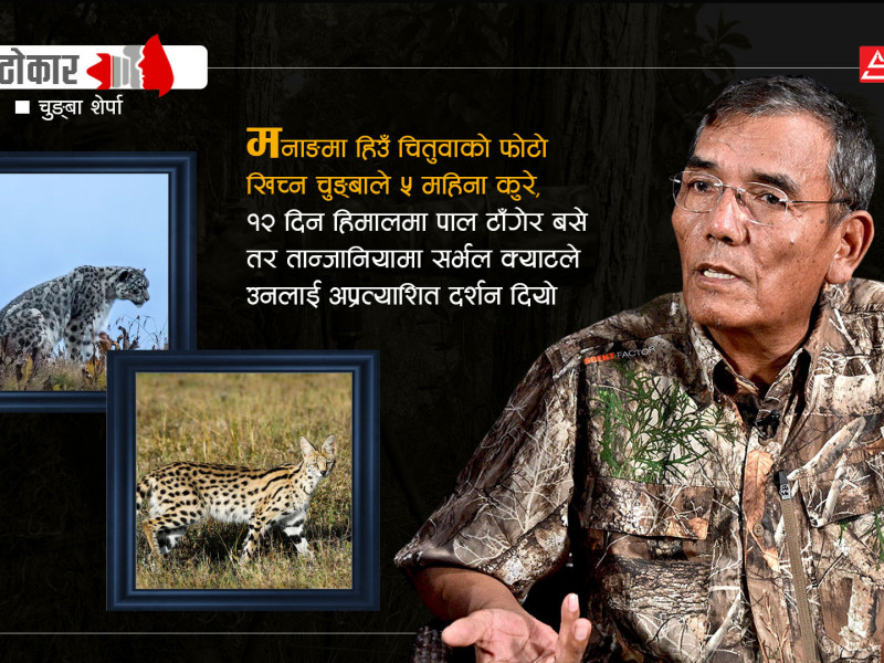 जाे ४६०० मिटरकाे उचाइमा 'घाेस्ट अफ हिमालय'लाई पर्खेर १२ दिन पालमुनि बसे