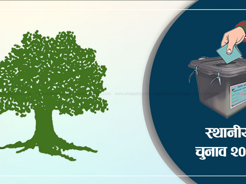 त्रियुगा नगरपालिकामा कांग्रेस विजयी,  कांग्रेसले जित्याे ३२९ स्थानीय तह