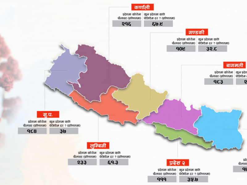 स्वास्थ्य संकटकालकाे तयारी, निजी संरचना पनि सरकारले प्रयोग गर्न सक्ने