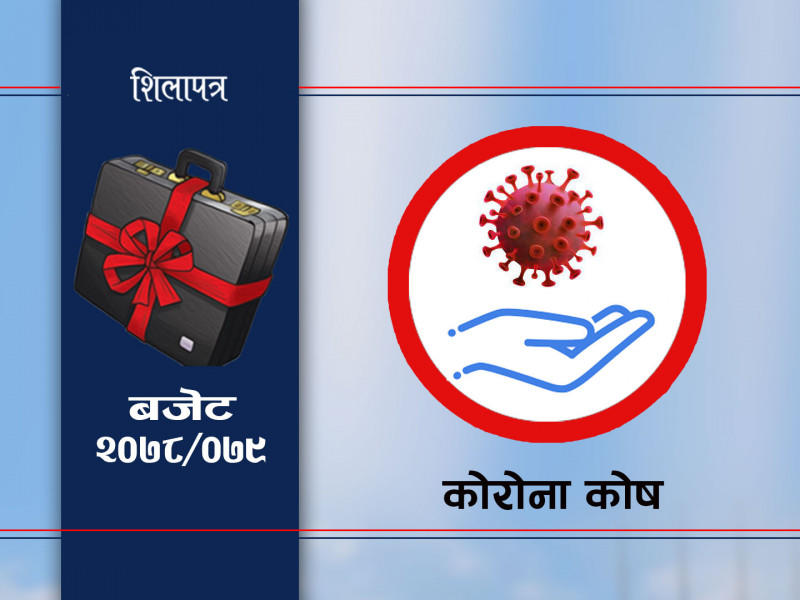 सरकारकाे उच्च प्राथमिकतामा कोभिड, विज्ञ भन्छन्– बजेट भाषणले मात्र महामारी नियन्त्रण हुँदैन