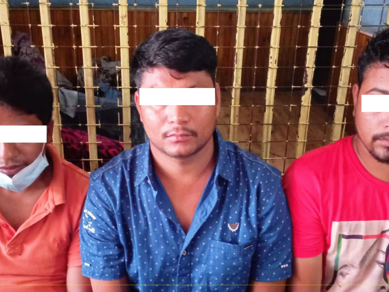 काठमाडौंमा कोलकाता मिर्गौला तस्करी गर्ने गिरोह सक्रिय, निसानामा अलपत्र युवा, तीन जना पक्राउ 