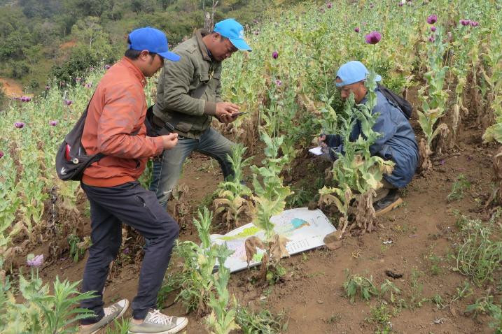 आज लागुऔषध दुरुपयोग तथा अवैध ओसारपसारविरुद्धको अन्तर्राष्ट्रिय दिवस