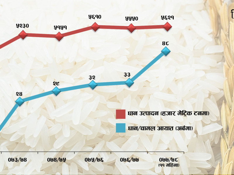 एक परिवारले किन्छन् २१० किलो विदेशी धान-चामल, आधा खर्ब रुपैयाँ पुग्यो विदेशी बजारमा