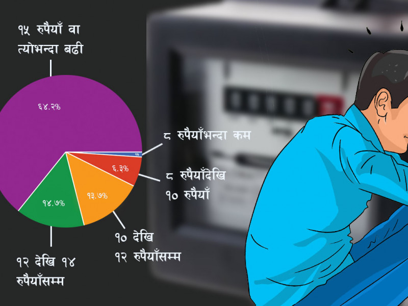 बिजुलीकाे बिलमा काठमाडाैंका घरबेटीकाे लुट, डेरावालासँग असुल्छन् प्रतियुनिट १५ रुपैयाँ