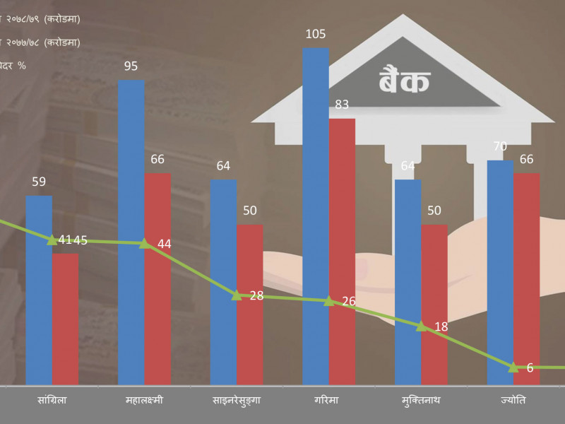 विकास बैंकको नाफा पनि २६ प्रतिशतले बढ्यो, गरिमा 'अर्ब क्लब' उक्लियो