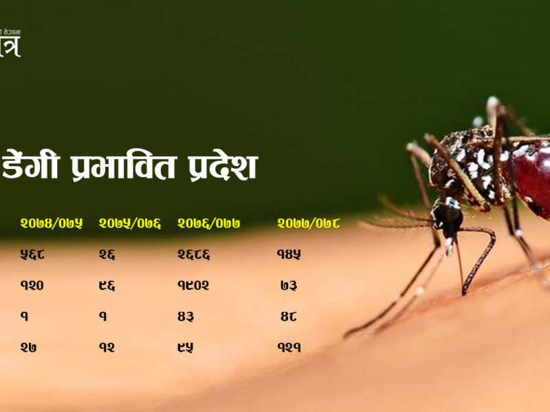 ललितपुरमा फैलिँदै डेंगी, जोखिममा काठमाडौं