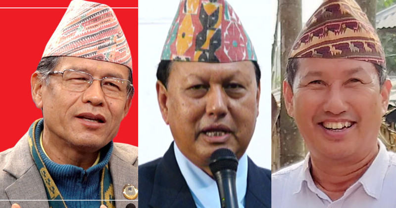 मन्त्रिपरिषद् विस्तार, कांग्रेसका तर्फबाट तीन मन्त्री नियुक्त