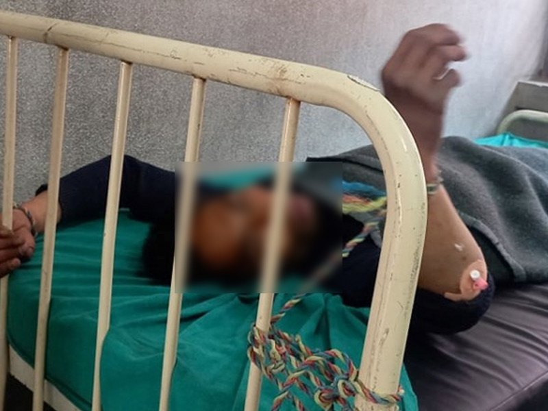 जब उपहार पाएको कुकुर नै मृत्युको कारक बन्याे