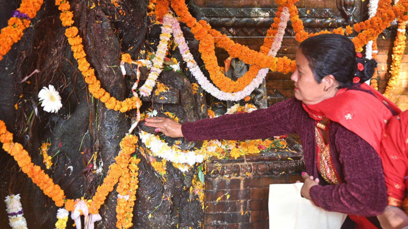 आज हरिबोधिनी एकादशी, घरमा रोपिएको तुलसीलाई दामोदरसँग विवाह गरिँदै