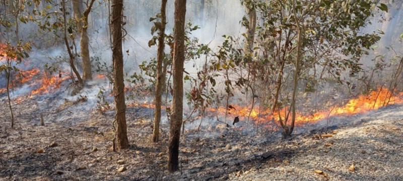 इस्मा आगलागी : आँखैअगाडि खरानी बने सम्पत्ति र सपना