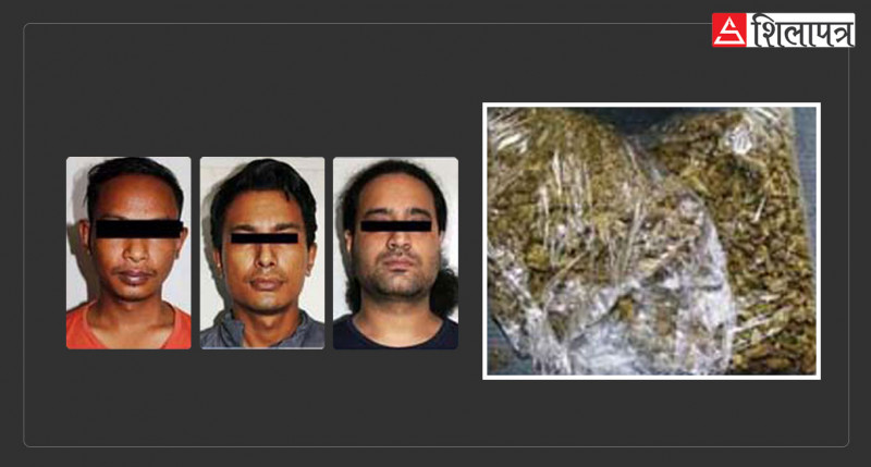 नेपालमै पाइने  गाँजा किन हुँदैछ अमेरिकाबाट तस्करी ? 