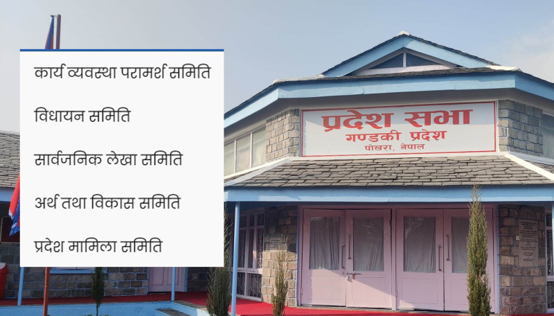 गण्डकीमा ‘मिनी संसद्’ गठनमा ढिलाइ, सुविधाका पद लिन दलभित्र प्रतिस्पर्धा 