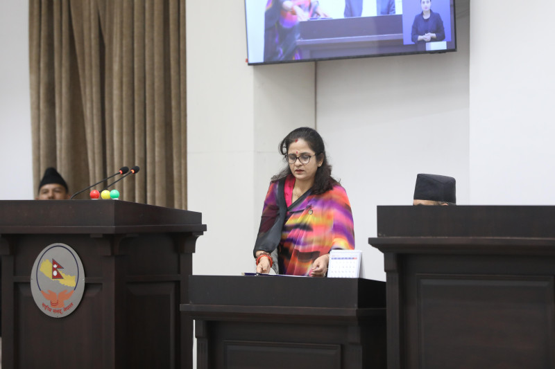 प्रतिनिधिसभामा चार विधेयक प्रस्तुत