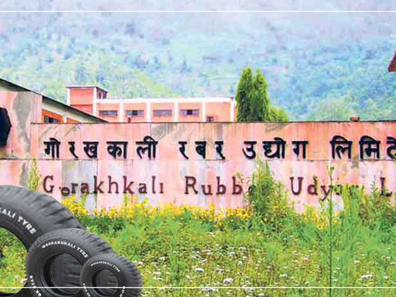 पहिले सडकबाट हरायो, अब कागजबाट पनि हराउँदैछ गोरखकाली टायर