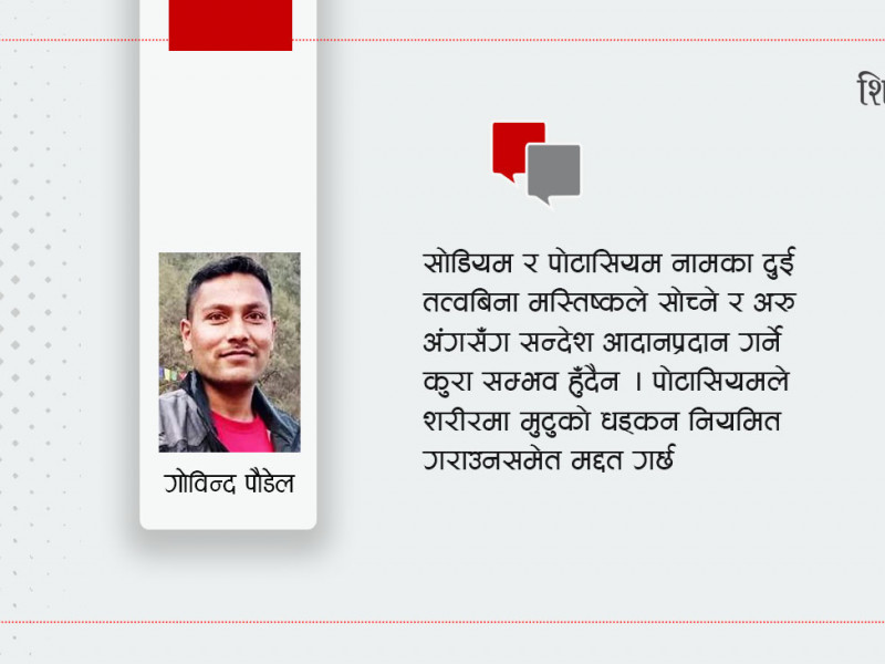 शरीरभित्रै छन् ५० बढी तत्त्व, अक्सिजनको ताैल मात्रै ६५ प्रतिशत