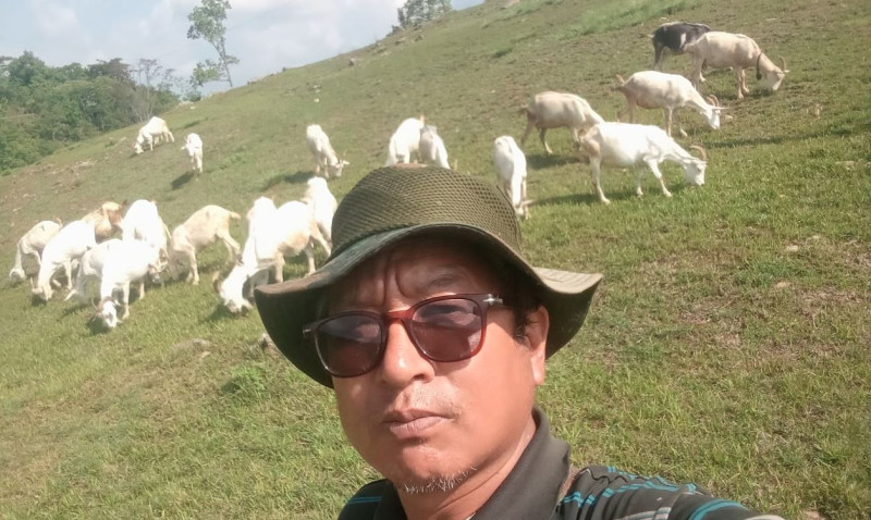 बाख्राको दूधबाट चिज बनाएर राम्रो आम्दानी गर्दै छन् गुरुङ