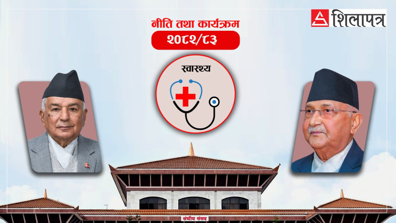 नीति तथा कार्यक्रम: बीमाको आर्थिक संकटसँग जुध्ने प्रयास