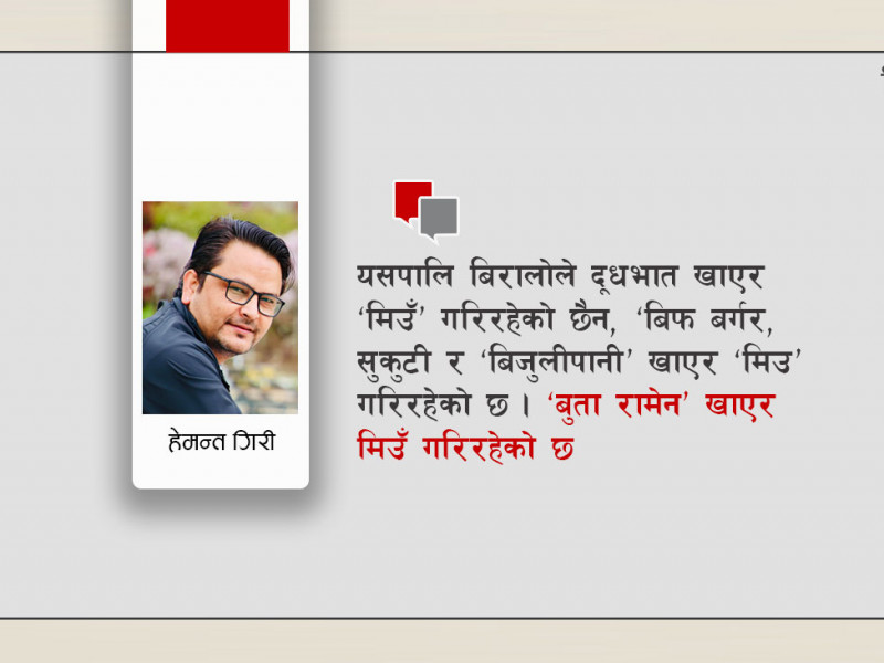 ‘जात’को बिरालो
