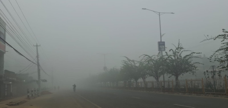 बाक्लो हुस्सु र कुहिरोले तराईको जनजीवन प्रभावित
