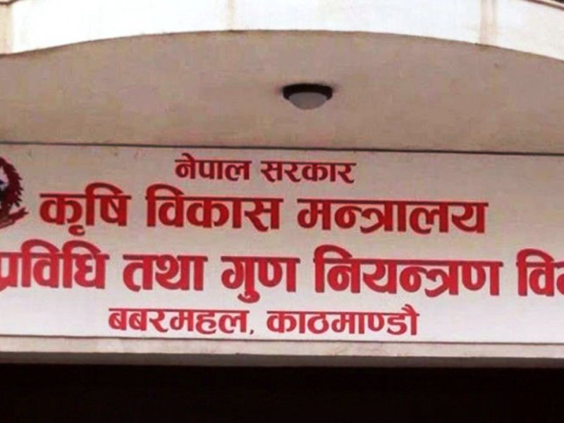 एसिटिलिन ग्यासको प्रयोग गरी पकाएको फलफूल बिक्री नगर्न विभागको आग्रह