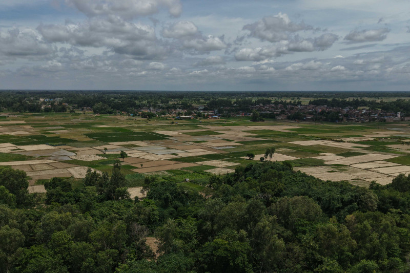 तराईमा लामो खडेरीपछि वर्षा, किसान भन्छन्– अमृत बर्सेजस्तै भयो