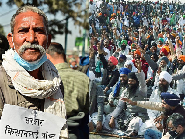 किसान आन्दाेलनबाट गल्याे भारतीय सत्ता, नेपालका अन्नदाता सधैँ निरीह