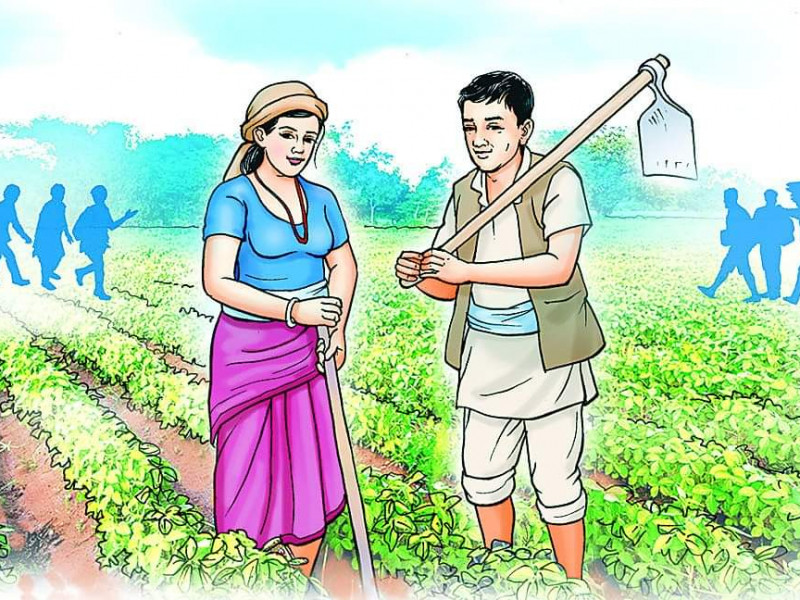 मलमै अल्झियो वर्ष २०७८, साँढे, राँगा र घाँसको चर्चा