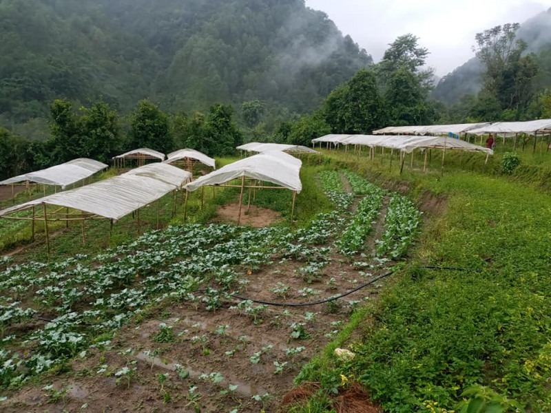 कृषि उत्पादन र रोजगारी सिर्जनमा जोड दिँदै झन्द्रेक सहकारी