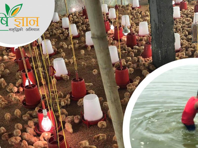 सिभिल इन्जिनियर राउतकाे कृषि तरक्की