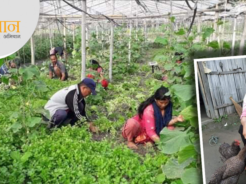 मलेसियामा महिनाको लाख कमाउँथे, त्याे छाेडेर नेपालमै फार्म खोलेर बसे